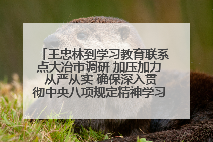 王忠林到学习教育联系点大冶市调研 加压加力 从严从实 确保深入贯彻中央八项规定精神学习教育取得实效