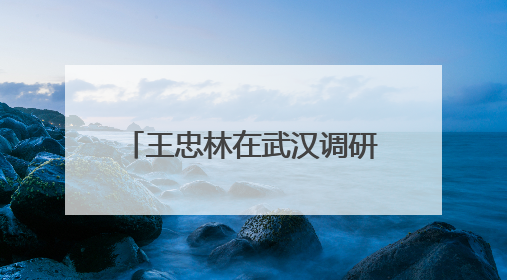 王忠林在武汉调研商业航天产业发展时强调 做大做强武汉国家航天产业基地 打造具有全国影响力的“中国星谷”
