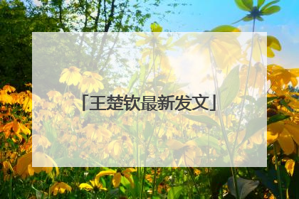 王楚钦最新发文
