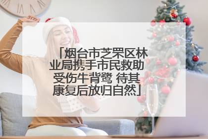 烟台市芝罘区林业局携手市民救助受伤牛背鹭 待其康复后放归自然
