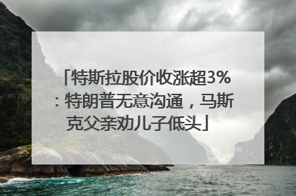特斯拉股价收涨超3%：特朗普无意沟通，马斯克父亲劝儿子低头