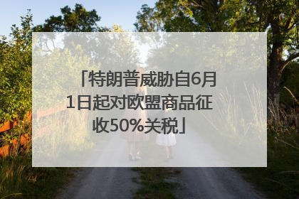 特朗普威胁自6月1日起对欧盟商品征收50%关税