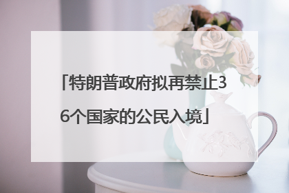 特朗普政府拟再禁止36个国家的公民入境
