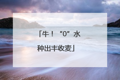 牛！“0”水种出丰收麦
