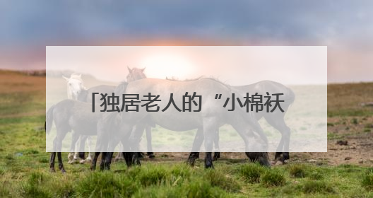 独居老人的“小棉袄”居民商户的“守护神”，警花扎根街巷16载，展现基层人大代表的炽热情怀