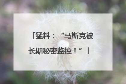 猛料：“马斯克被长期秘密监控！”