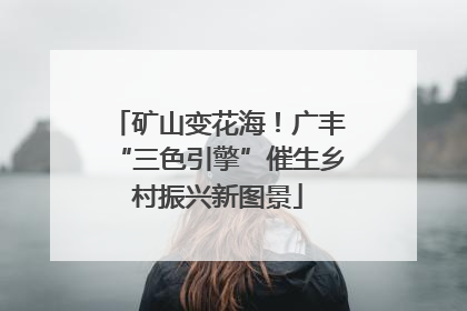 矿山变花海！广丰“三色引擎”催生乡村振兴新图景
