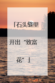 石头缝里开出“致富花”