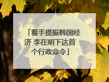 着手提振韩国经济 李在明下达首个行政命令