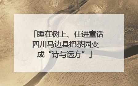 睡在树上、住进童话 四川马边县把茶园变成“诗与远方”