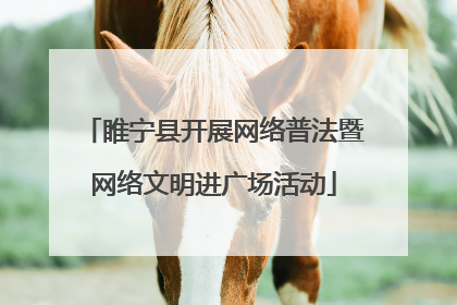 睢宁县开展网络普法暨网络文明进广场活动
