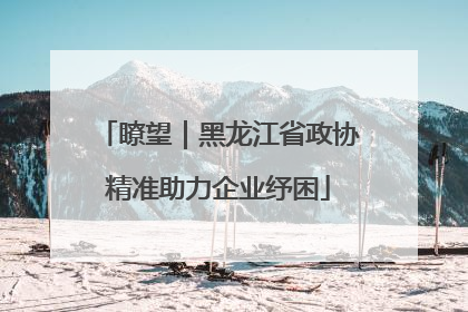 瞭望｜黑龙江省政协精准助力企业纾困