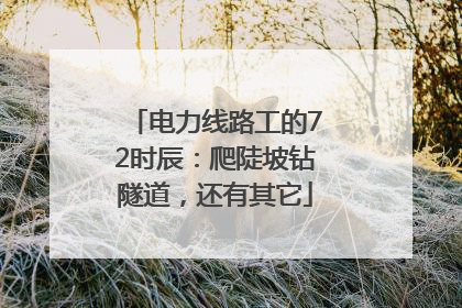 电力线路工的72时辰：爬陡坡钻隧道，还有其它