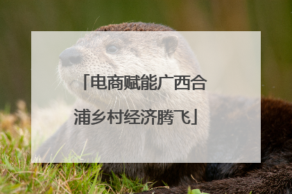 电商赋能广西合浦乡村经济腾飞