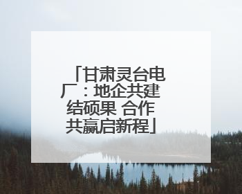 甘肃灵台电厂：地企共建结硕果 合作共赢启新程