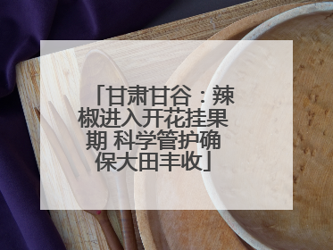 甘肃甘谷：辣椒进入开花挂果期 科学管护确保大田丰收