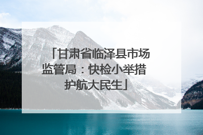 甘肃省临泽县市场监管局：快检小举措 护航大民生