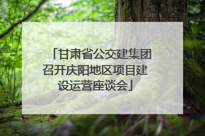 甘肃省公交建集团召开庆阳地区项目建设运营座谈会