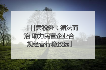 甘肃税务：循法而治 助力民营企业合规经营行稳致远