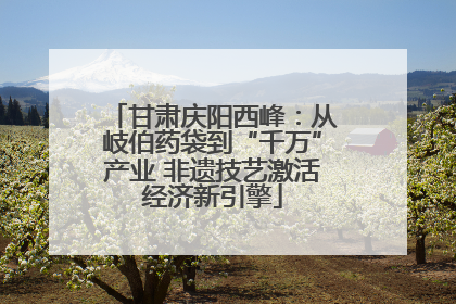 甘肃庆阳西峰：从岐伯药袋到“千万”产业 非遗技艺激活经济新引擎
