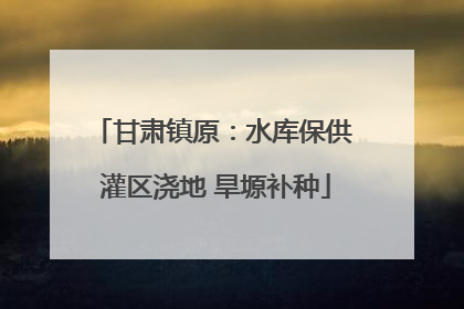 甘肃镇原：水库保供 灌区浇地 旱塬补种