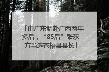 由广东调赴广西两年多后，“85后”张东方当选苍梧县县长