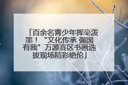 百余名青少年挥毫泼墨！“文化传承 强国有我”万源赛区书画选拔现场精彩绝伦