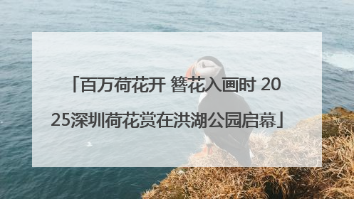 百万荷花开 簪花入画时 2025深圳荷花赏在洪湖公园启幕