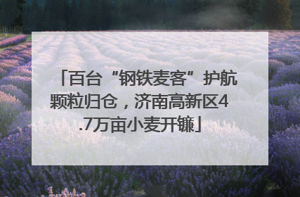 百台“钢铁麦客”护航颗粒归仓，济南高新区4.7万亩小麦开镰