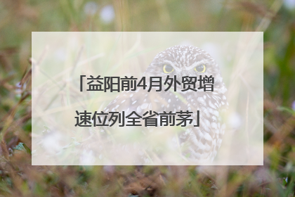益阳前4月外贸增速位列全省前茅