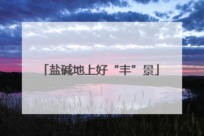 盐碱地上好“丰”景