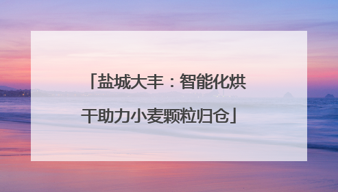 盐城大丰：智能化烘干助力小麦颗粒归仓