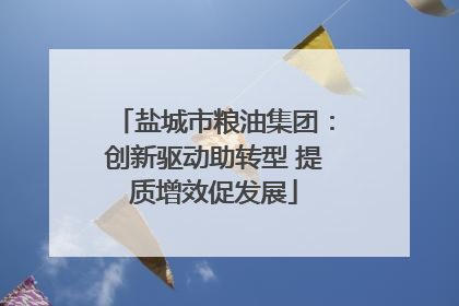 盐城市粮油集团：创新驱动助转型 提质增效促发展