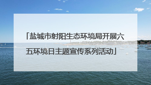 盐城市射阳生态环境局开展六五环境日主题宣传系列活动