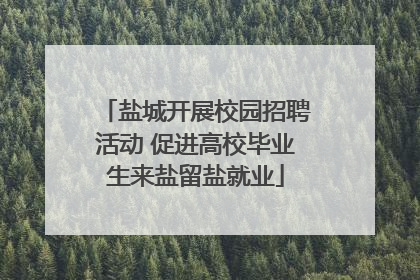 盐城开展校园招聘活动 促进高校毕业生来盐留盐就业