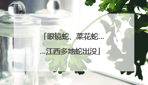 眼镜蛇、菜花蛇……江西多地蛇出没