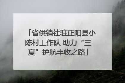 省供销社驻正阳县小陈村工作队 助力“三夏”护航丰收之路