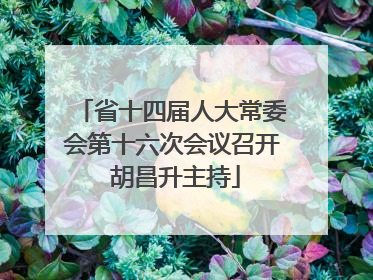 省十四届人大常委会第十六次会议召开 胡昌升主持