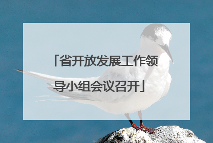 省开放发展工作领导小组会议召开