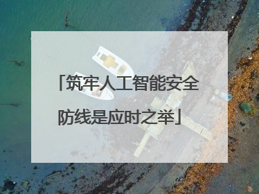 筑牢人工智能安全防线是应时之举