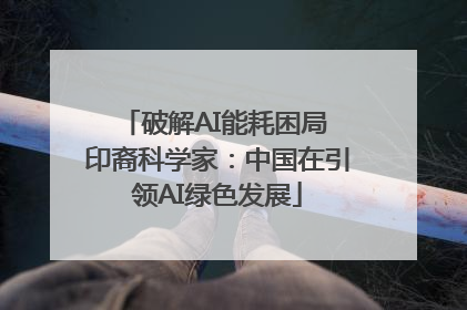 破解AI能耗困局 印裔科学家：中国在引领AI绿色发展