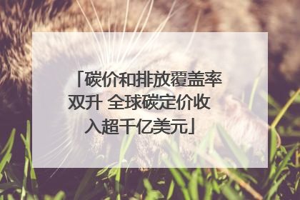 碳价和排放覆盖率双升 全球碳定价收入超千亿美元