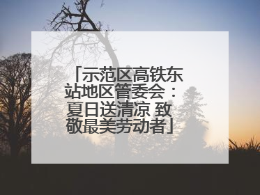 示范区高铁东站地区管委会：夏日送清凉 致敬最美劳动者