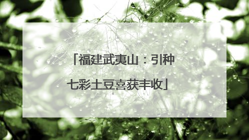 福建武夷山：引种七彩土豆喜获丰收