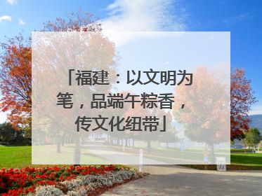 福建：以文明为笔，品端午粽香，传文化纽带