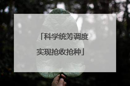 科学统筹调度实现抢收抢种