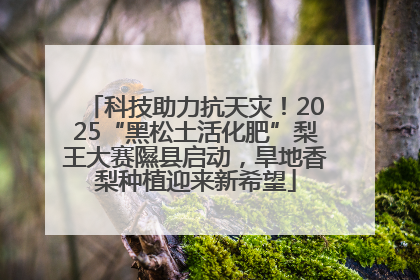 科技助力抗天灾！2025“黑松土活化肥”梨王大赛隰县启动，旱地香梨种植迎来新希望