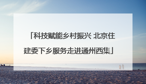 科技赋能乡村振兴 北京住建委下乡服务走进通州西集