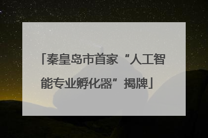 秦皇岛市首家“人工智能专业孵化器”揭牌