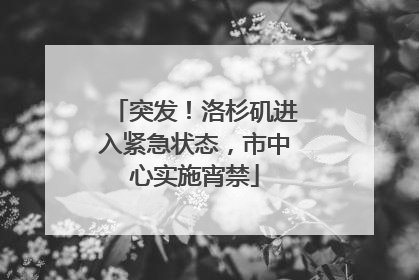 突发！洛杉矶进入紧急状态，市中心实施宵禁